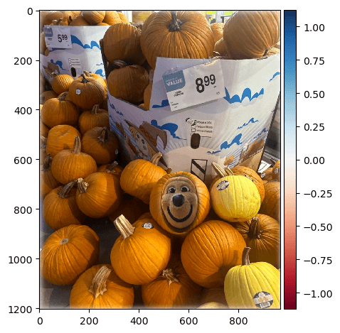 Fall Oski